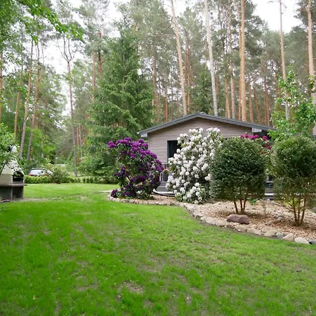 Am Kiefernweg 1 Holiday home